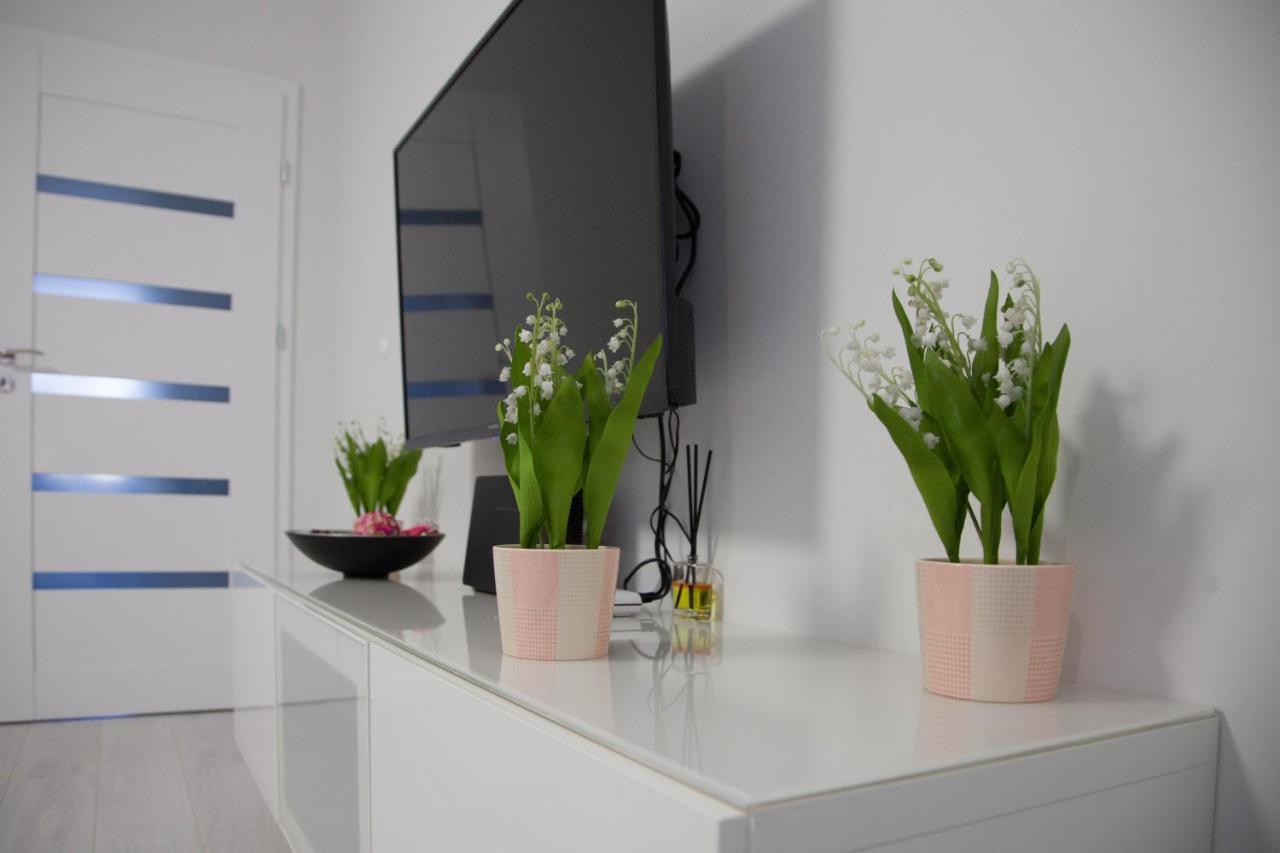 Apartament Wroclaw Borowska מראה חיצוני תמונה